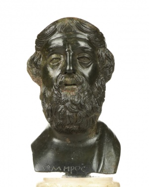Modena Type Homer.jpg